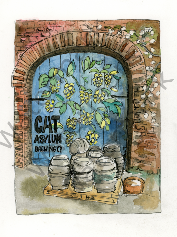 Cat Asylum Brewery Company
